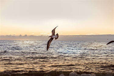 2026 Calendar Photo by Raysa Brito