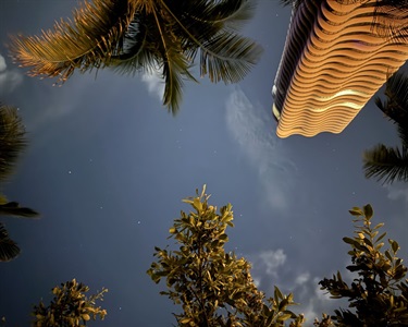 2026 Calendar Photo by Sonya Fia