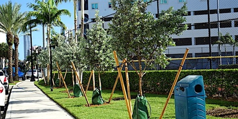 Tree-Planting.jpg